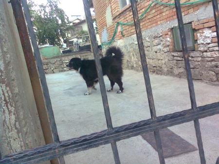 Прикачена снимка