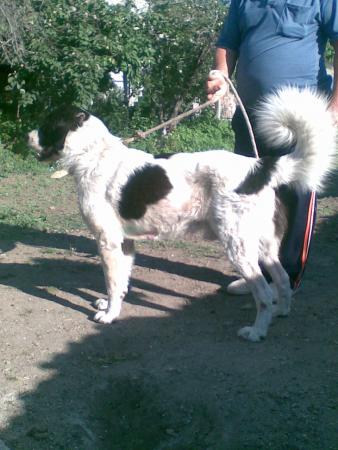 Прикачена снимка