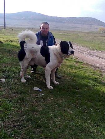 Прикачена снимка