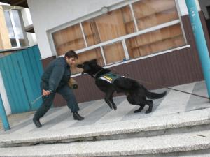 Прикачена снимка