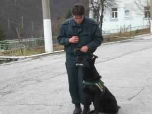 Прикачена снимка