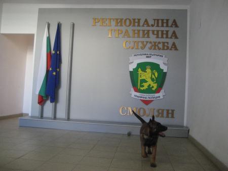 Прикачена снимка