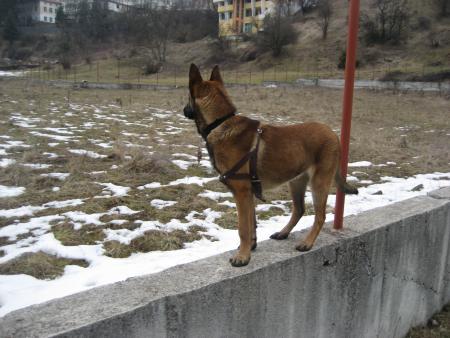 Прикачена снимка