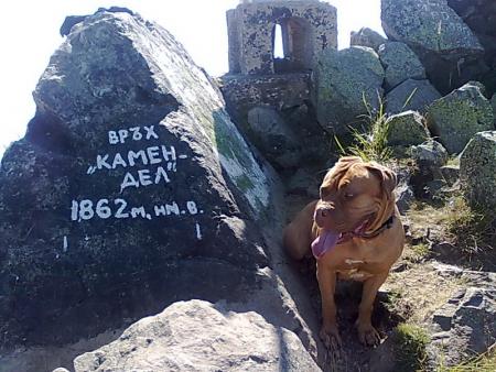 Прикачена снимка