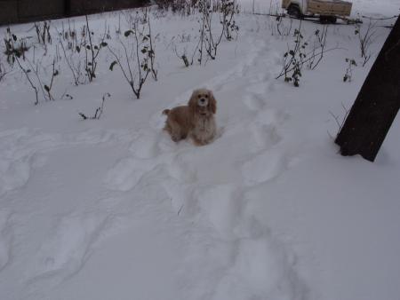 Прикачена снимка