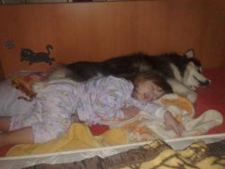 Прикачена снимка