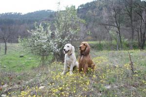 Прикачена снимка