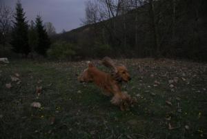 Прикачена снимка
