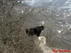Прикачена снимка