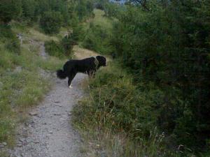 Прикачена снимка