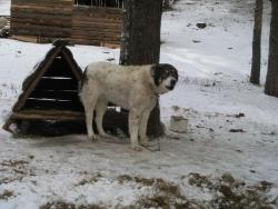 Прикачена снимка
