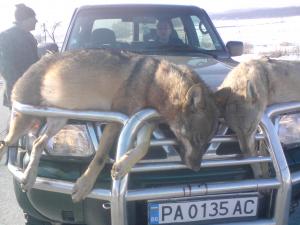 Прикачена снимка