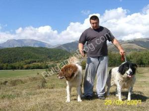 Прикачена снимка