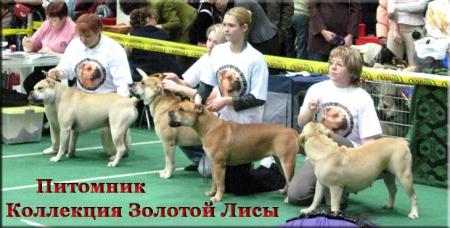 Прикачена снимка