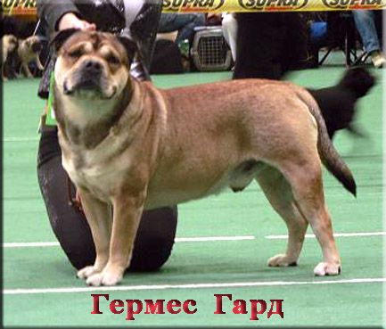 Прикачена снимка