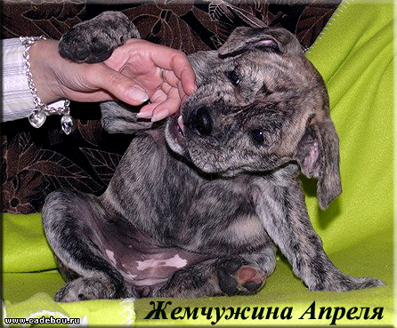 Прикачена снимка