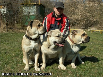 Прикачена снимка