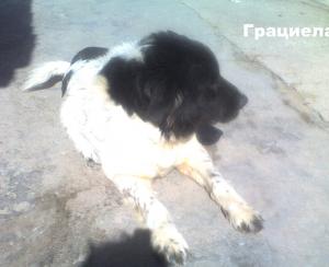 Прикачена снимка