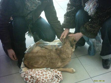 Прикачена снимка