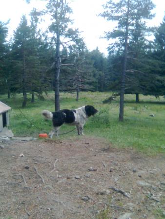 Прикачена снимка