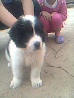 Прикачена снимка