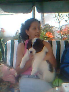 Прикачена снимка