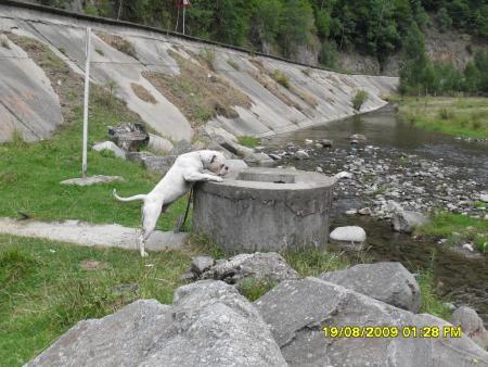 Прикачена снимка