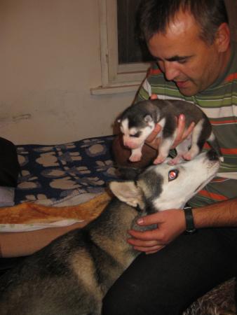 Прикачена снимка