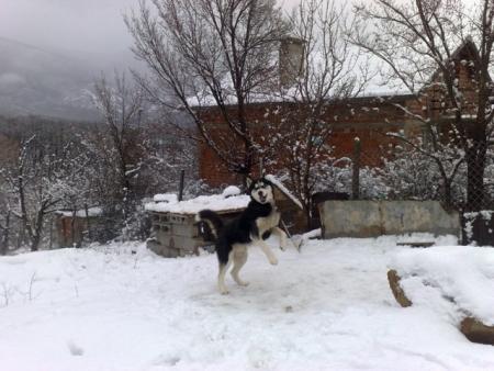 Прикачена снимка