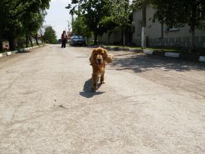 Прикачена снимка