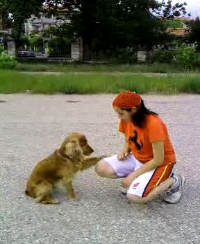 Прикачена снимка