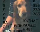 Прикачена снимка