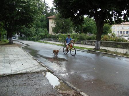 Прикачена снимка