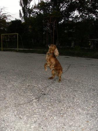 Прикачена снимка