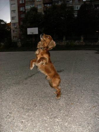 Прикачена снимка
