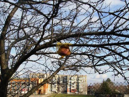 Прикачена снимка