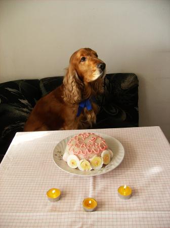 Прикачена снимка