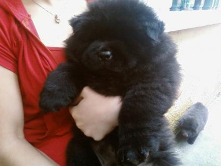 Прикачена снимка