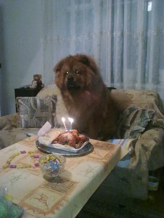 Прикачена снимка