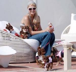 Прикачена снимка