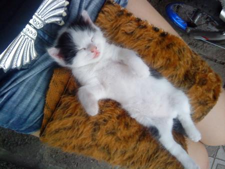 Прикачена снимка