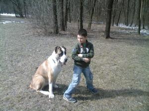 Прикачена снимка