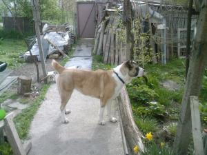 Прикачена снимка