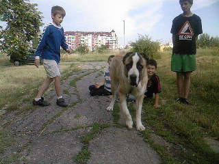 Прикачена снимка