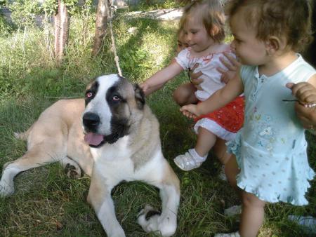 Прикачена снимка