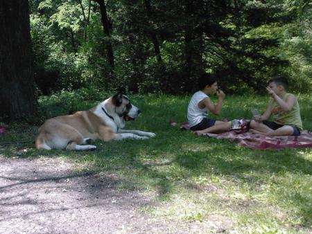 Прикачена снимка