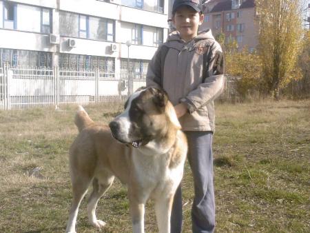 Прикачена снимка