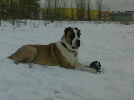Прикачена снимка