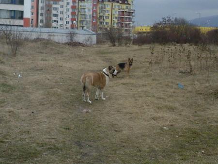 Прикачена снимка