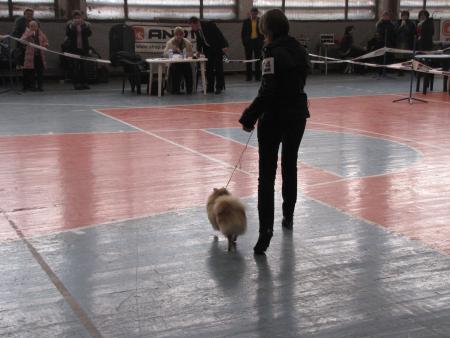 Прикачена снимка